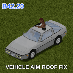[B42.20+] Vehicle Aim Roof Fix