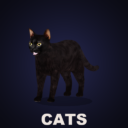 CD: Cats