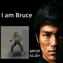 I Am Bruce Lee Now