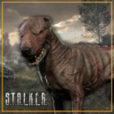 STALKER – Blind Dog Alpha v0.9.4