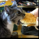 Cartoon Chomp replacing eating sound effect