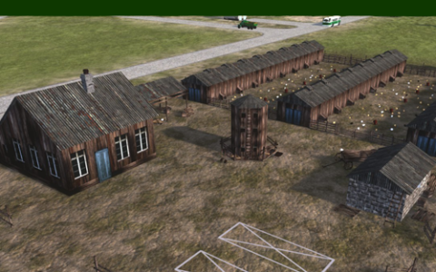 Chicken Farms