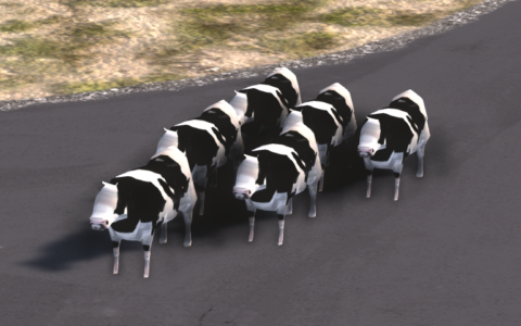 Cattle Drive