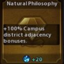 Extended Policy Cards