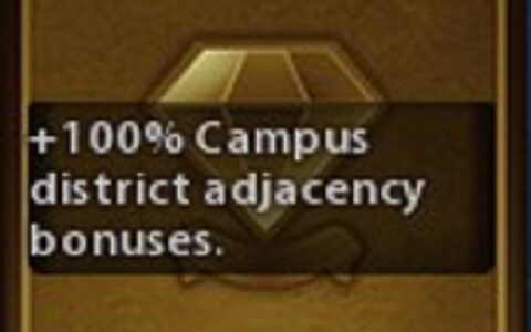 Extended Policy Cards