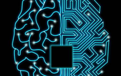 AI+