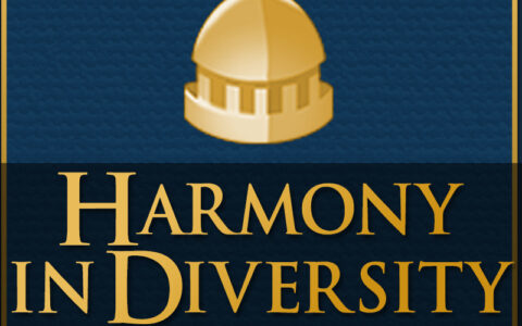 Harmony in Diversity: City-States Diversity