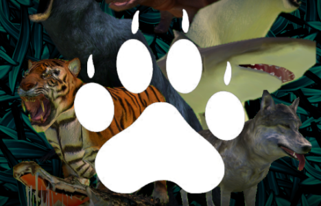 Wildlife