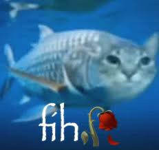 fih :wilted_rose: map