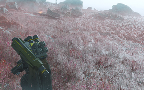 red tundra forest