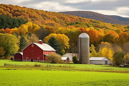 [Rational Farming Doctrine] Farms adjacent to mountains receive Food bonuses